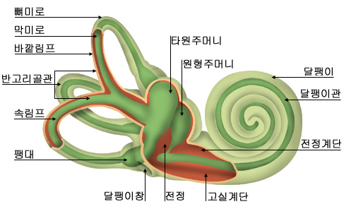 의약품 이미지